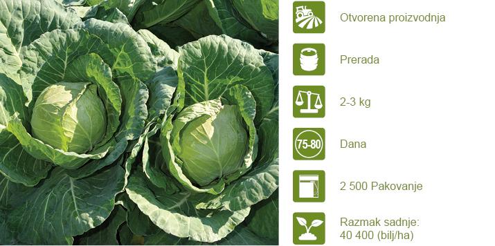 Syngenta seme kupus Sarmalin.