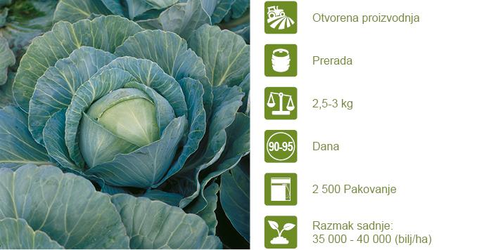 Syngenta seme kupus Kilaherb.