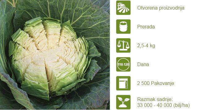 Syngenta seme kupus Klabishi.