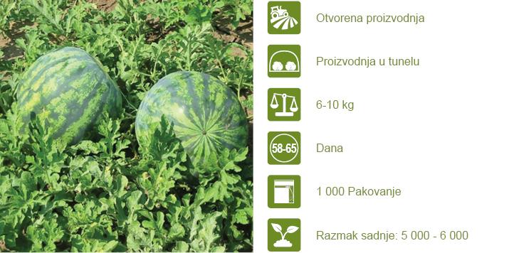 Syngenta seme lubenica Sorento.