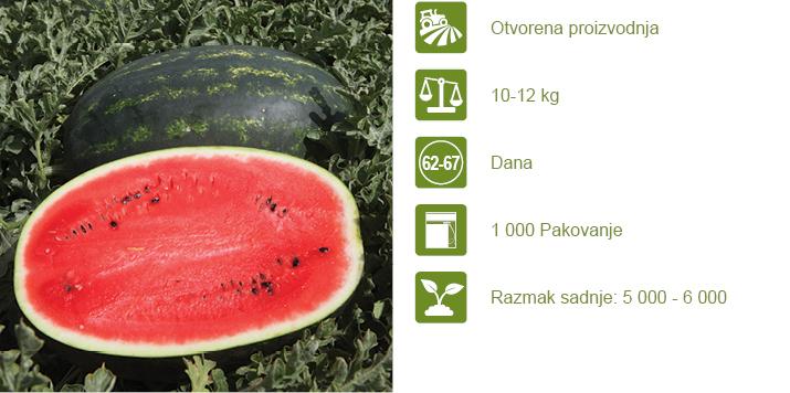 Syngenta seme lubenica Mirsini. 