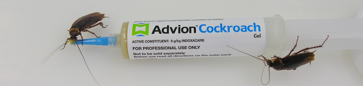 advion-gel-protiv-bubasvaba-bubarusa-
