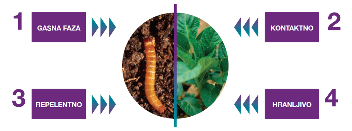 ForceEvo-insekticid-hranivo-Syngenta-mehanizam-delovanja