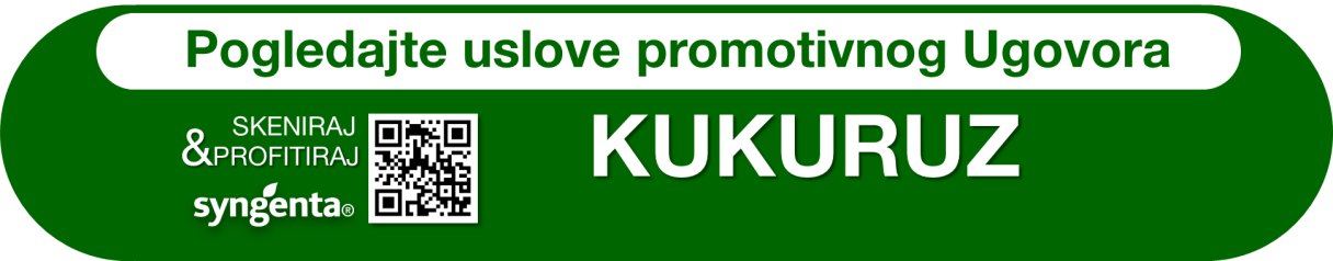 sip-dugme-kukuruz