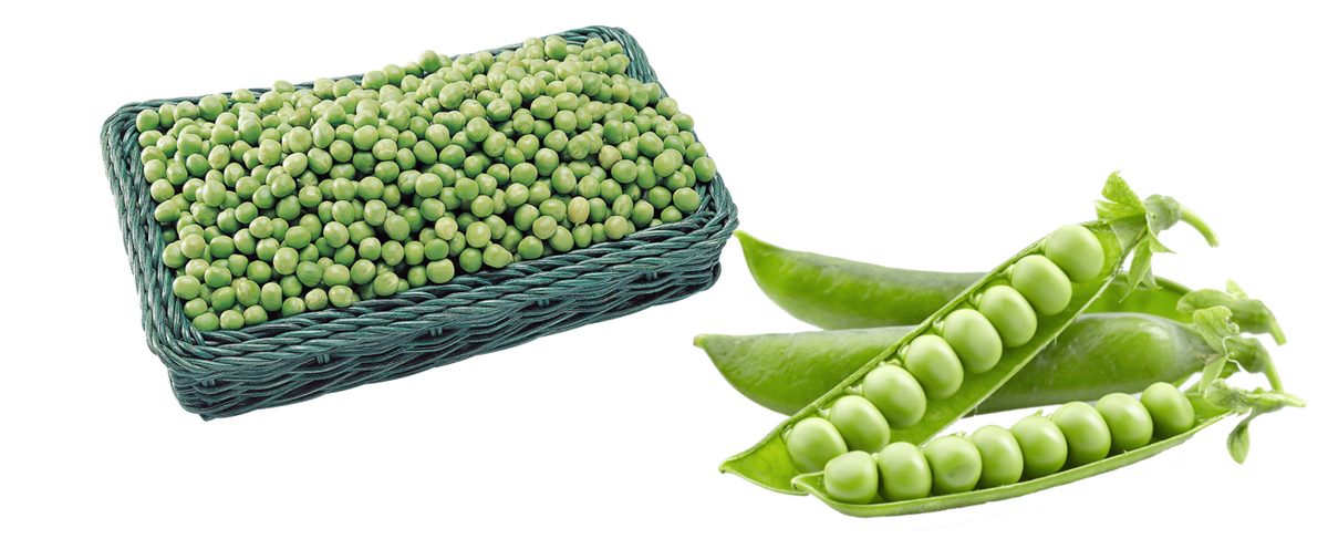 grasak-zaastita-syngenta