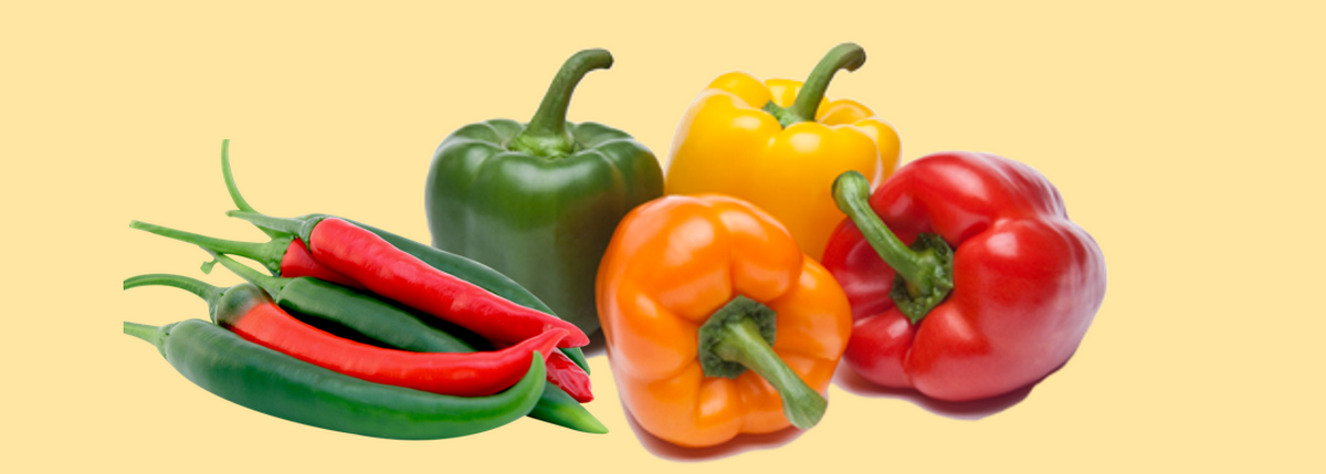 paprika-zastita-syngenta