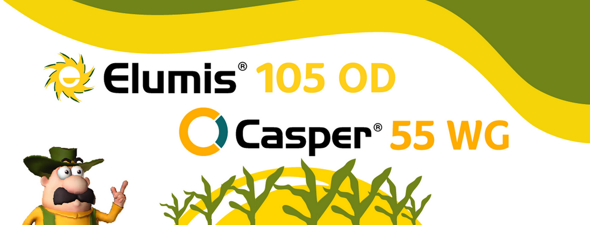 elumis-casper-herbicidi-kukuruz-syngenta