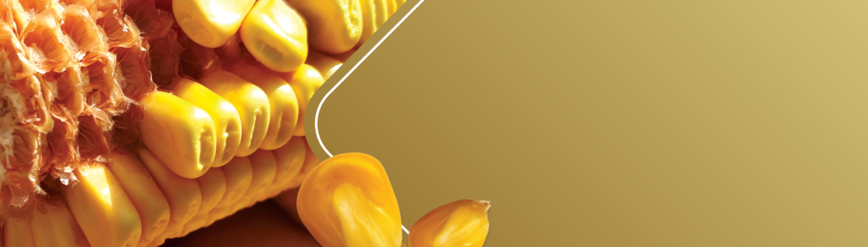 corn