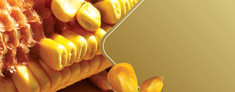 corn