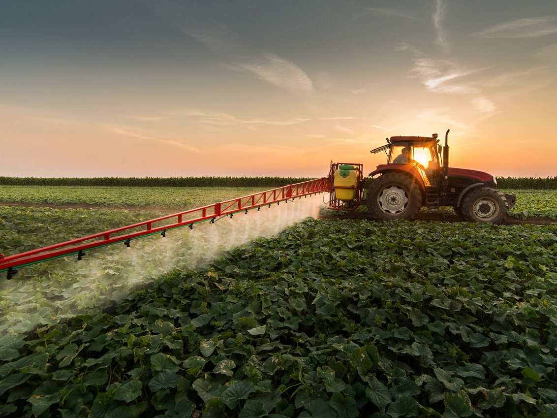 syngenta-zastita-bilja_1132x849_podloga_3.png