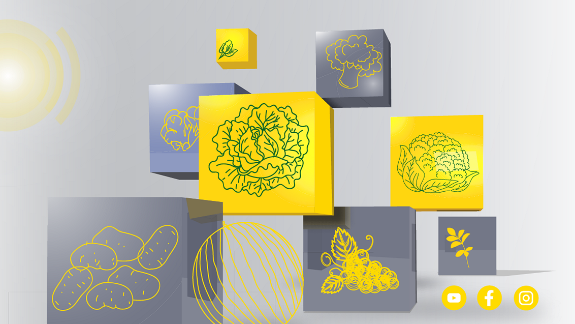 ridomilgold-r-syngenta-fungicid-sa-bakrom_1132x637.png
