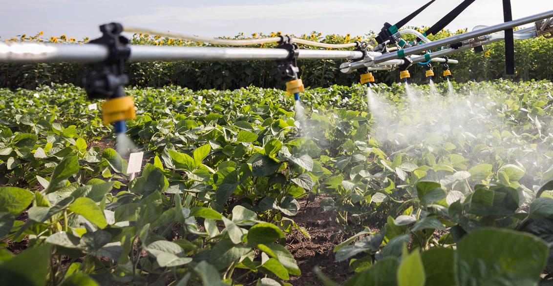 syngenta-krompir-zastita_1132x586_3.jpg