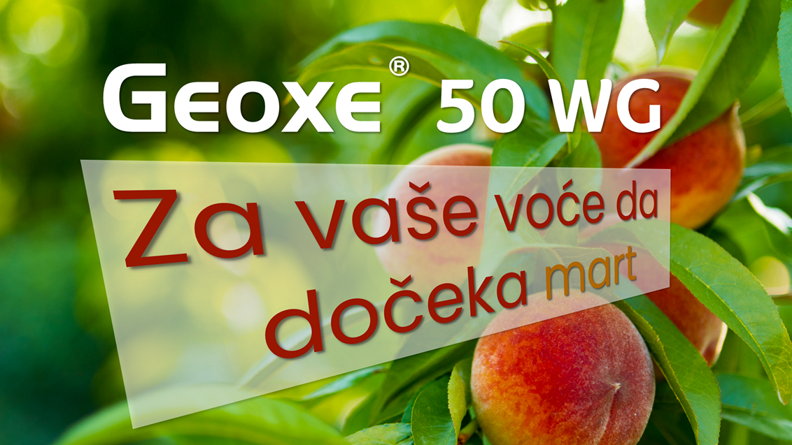 geoxe-zastita-vocaka-skladiste-syngenta_1132x637.png