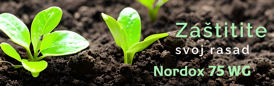 zastitite-rasad-nordox-syngenta_1132x357.png