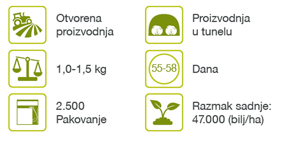 kevin-seme-kupusa-syngenta-hibridi-sorte_1132x637_pikto_2.png