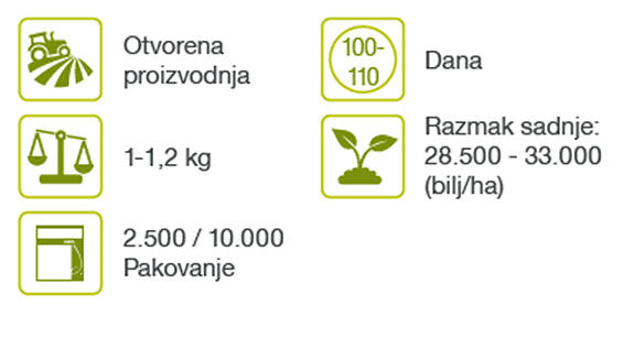 baikal-kelj-povrce-seme-syngenta_1132x637_tbl.png