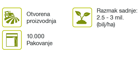 cesar-rotkvice-seme-povrce-syngenta_1132x637_tbl.png