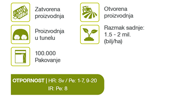ellucio-spanac-seme-povrce-syngenta_1132x637_tbl.png