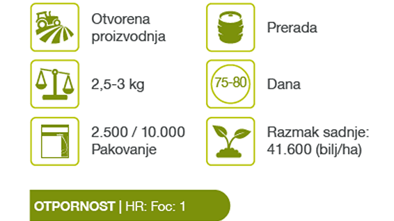 pruktor-kupus-syngenta_566x318_tbl_2.png