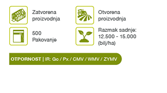angelina-tikvice-seme-povrca-syngenta_1132x637_2.png
