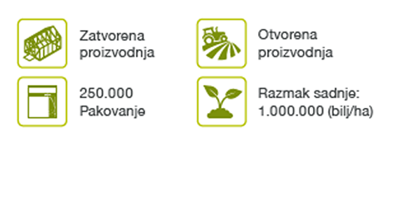 disco-luk-seme-povrca-syngenta_1132x637_2.png