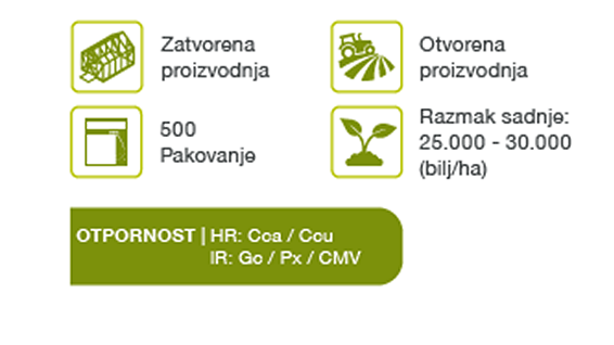 mirage-krastavac-seme-povrca-syngenta_1132x637_2.png