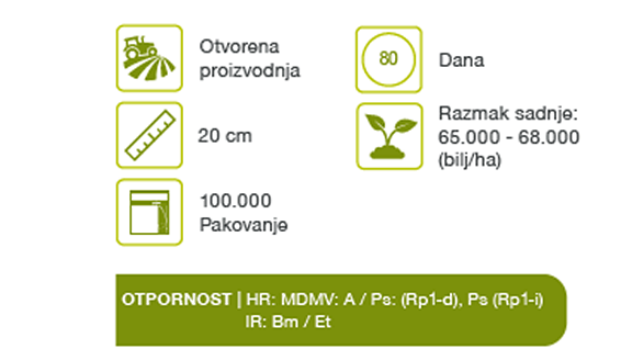tyson-kukuruz-secerac-seme-povrca-syngenta_1132x637_2.png
