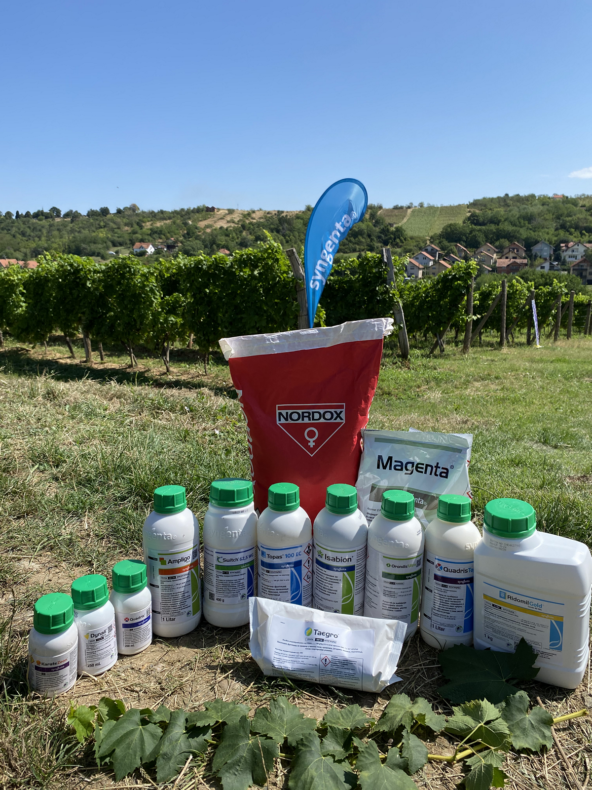 syngenta-zastita-vinove-loze-dynali-090dc_2_uspr_hemija.png