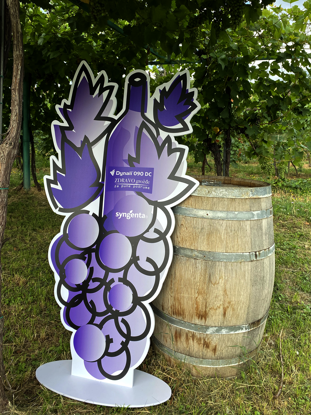 syngenta-zastita-vinove-loze-dynali-090dc_2_uspr_totem.png