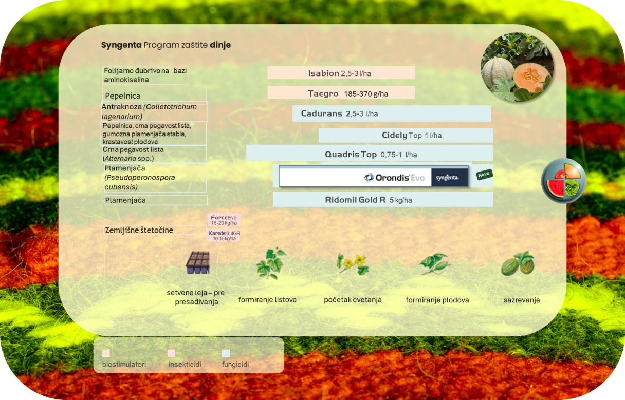 program-zastite-dinje-syngenta_2.png
