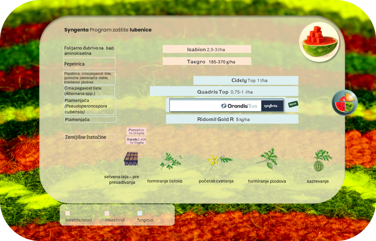 program-zastite-lubenice-syngenta_2.png