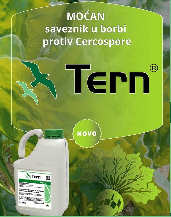 Tern-syngenta-zastita-secerne-repe-fungicid