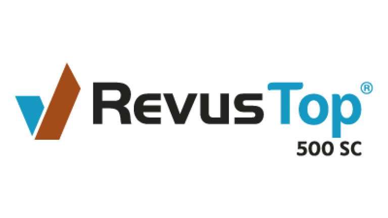 Revus Top 500 SC