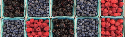 syngenta-voce-zastita-vocnjak-zasad-jagodasto-berry_1132x637_podloga_m7.png