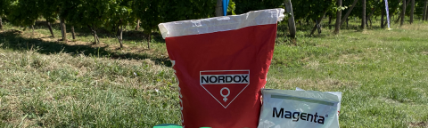 syngenta-zastita-vinove-loze-dynali-090dc_2_uspr_hemija.png